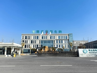 Shandong Saikesaisi Hydrogen Energy Co., Ltd 제조업체의 생산 라인